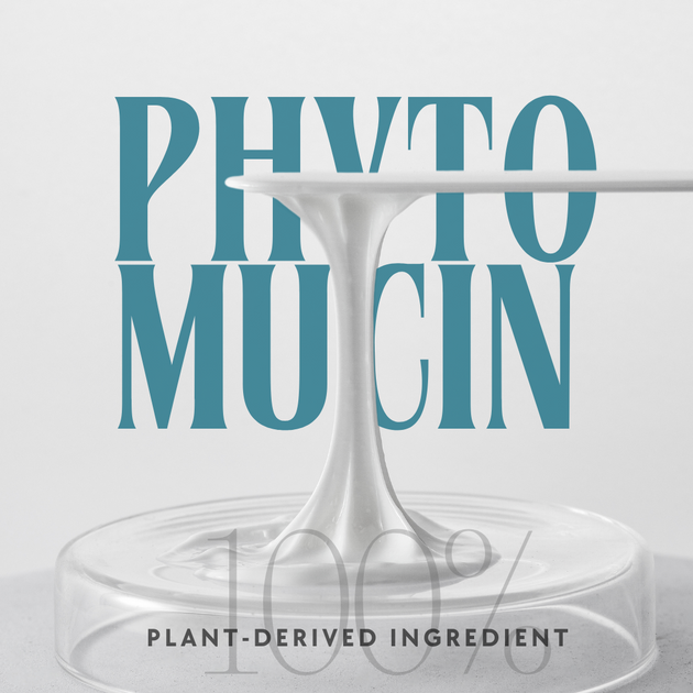 BTX Phyto Mucin Cream – Korean Beauty Academy